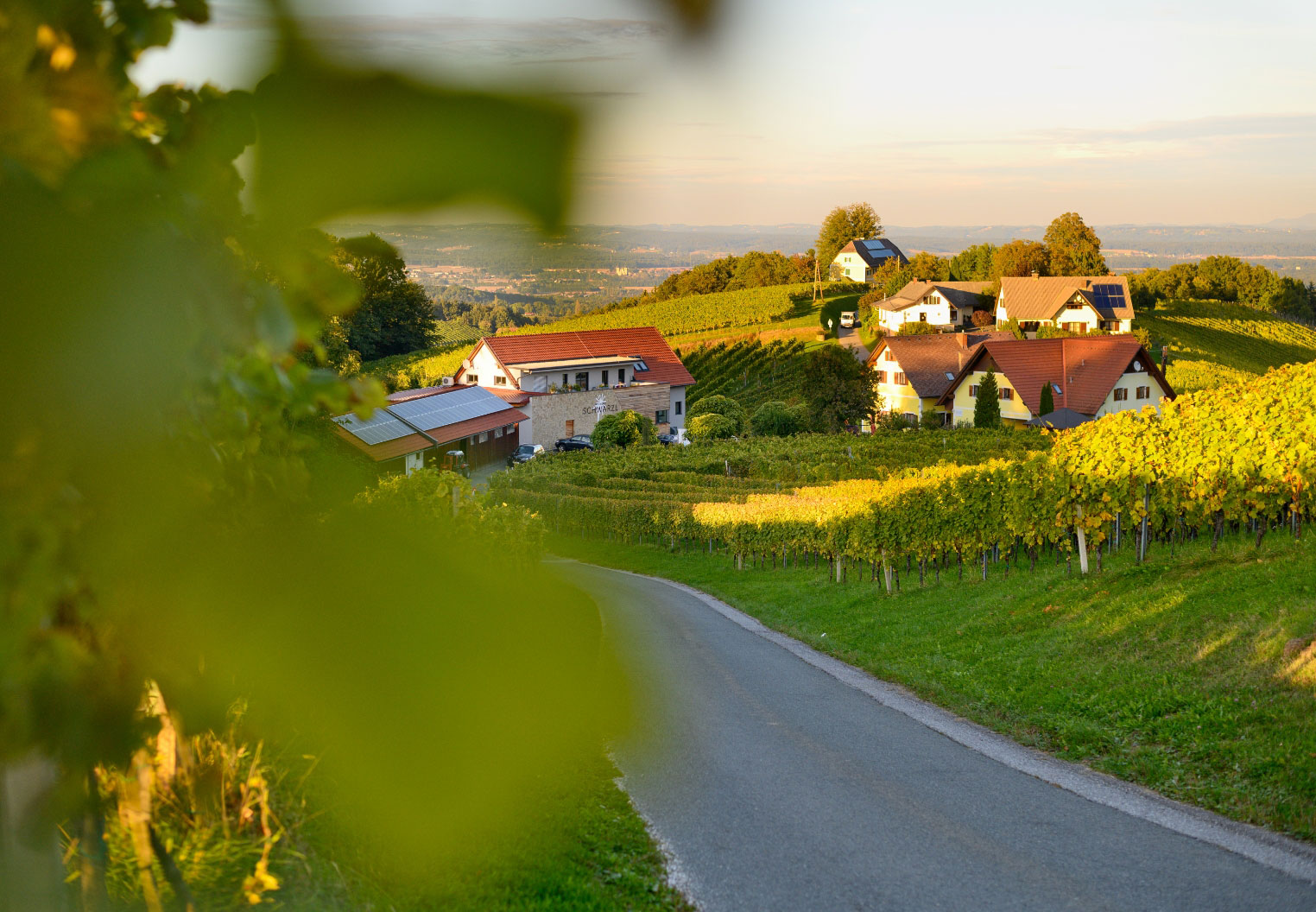 Hofsicht des Weingut Schwarzl