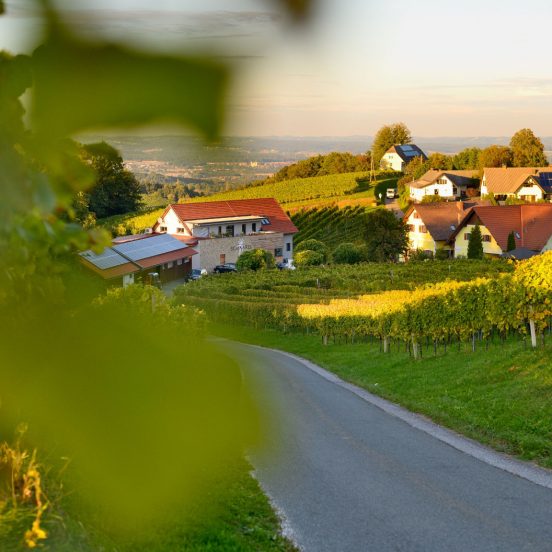 Hofsicht des Weingut Schwarzl